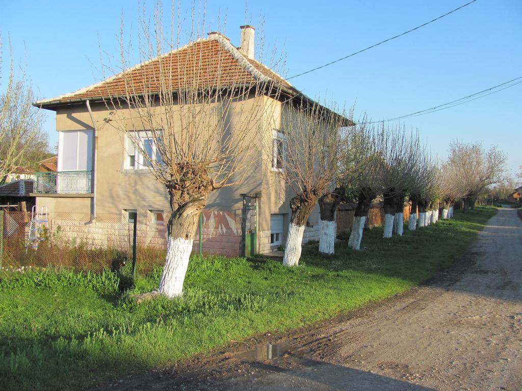 Rogozen B&B Exterior foto